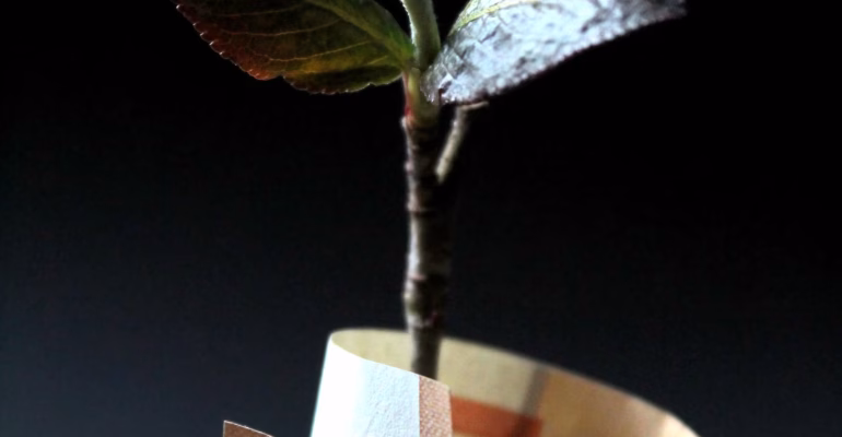 Επιδότηση ΜΜΕ Κεντρική Μακεδονία